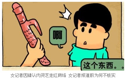 自慰器“肉灵芝”走红网络 最纯情女记者（图）